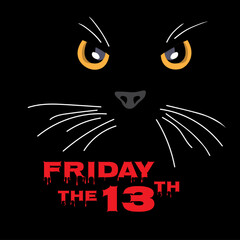 Black Cat on Friday the 13th