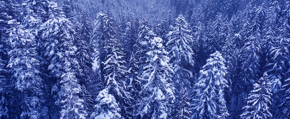 Snowy mountain road and forest, drone view.