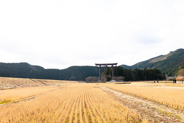 Fototapeta premium 「熊野本宮大社旧社地 大斎原（世界遺産 紀伊山地の霊場と参詣道）」in 和歌山県
