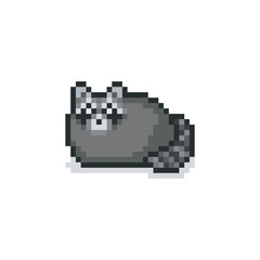 Fototapeta premium Fat raccoon, pixel art animal