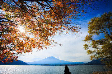 Mt Fuji - 558556186