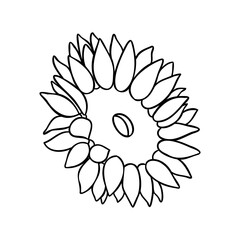 sunflower outline