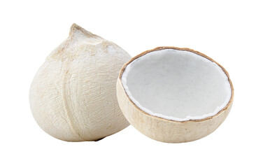  young coconut nuts isolated on transparent png