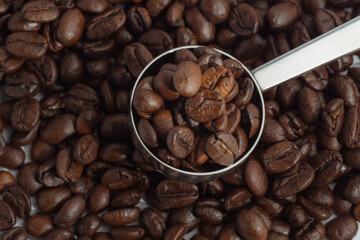 coffee beans in a spoon. Roasted arabica coffee bean  in spoon on coffee bean background.
