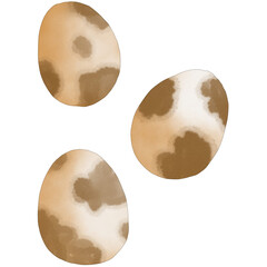 Fototapeta na wymiar Watercolor Quail Eggs
