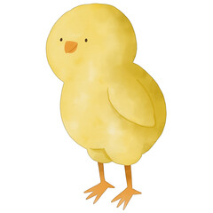 watercolor chick
