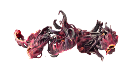 dry roselle hibiscus isolated on transparent png