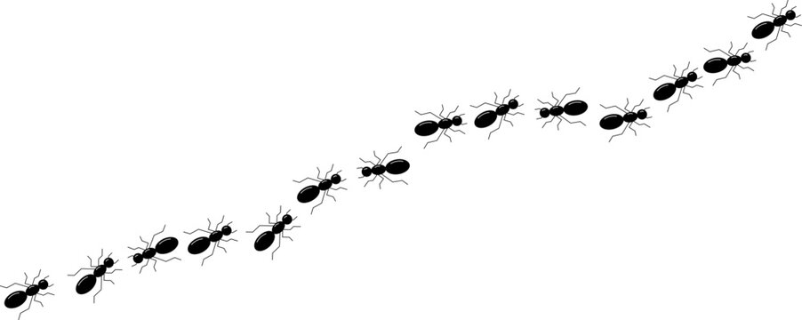 worker ants marching vector illustration