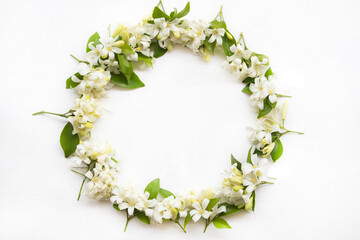 Fototapeta na wymiar white flower jasmine local flora of asia arrangement circle flat lay postcard style on background white 