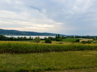 Obraz premium Greifensee in the late afternoon.