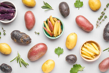 Composition with different types of raw potatoes and herbs on light background