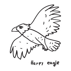 Harpy eagle flying. Outline vector illustration on white background.