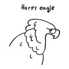 Harpy eagle. Illustration. Vector outline graphic design.