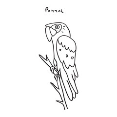 A parrot sits on a branch. Vector outline illustration.