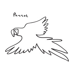 Parrot flying. Vector illustration. Hand drawn outline graphic design. 