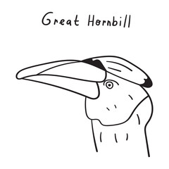 Great Hornbill. Outline illustration. Vector graphic design on white background.