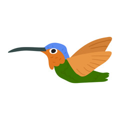 Flying hummingbird. Vector flat illustration on white background.