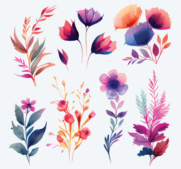 collection of flowers Beautiful Watercolor set of Design Ornaments