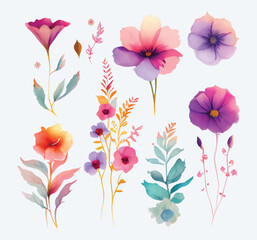 collection of flowers Beautiful Watercolor set of Design Ornaments