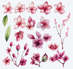 Set of Beautiful Watercolor Flowers pink cherry blossom collection