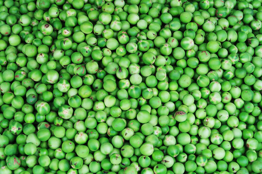 Lots of green round vegetables as a background image.