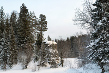 Winter landscape, old stone wall among coniferous trees.