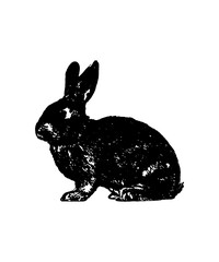 illustration of a rabbit