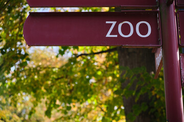 symbol sign direction arrow sign indicating the location zoo Going to the zoo