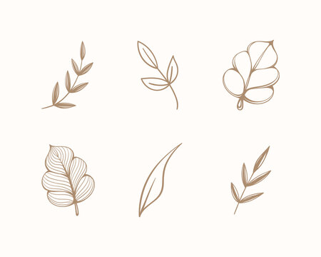 Set of line art floral botanical abstract leaves and branches. Outline design elements isolated on background, vector illustration