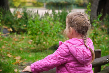 View from behind little girl with braided hair looking at lake outdoors in park