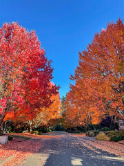 Naklejka premium Lake Hills Fall Colors