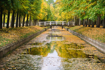 wood bridge Beautiful autumn scene in park river with fallen leaves