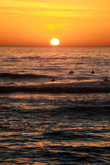 Obraz premium Beautiful sunset at the beach in portugal at the atlantic ocean close to lissabon. Wallpaper surf