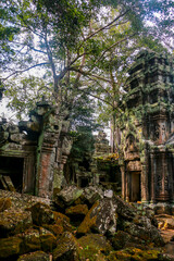 Amazing wallpaper of angkor wat with trees in cambodia. Angkor temple in siem reap