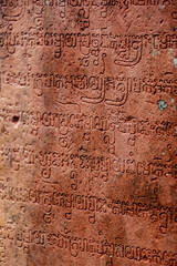 Fototapeta na wymiar Amazing wallpaper of angkor wat with trees in cambodia. Angkor temple in siem reap