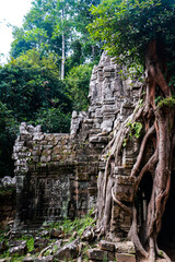 Amazing wallpaper of angkor wat with trees in cambodia. Angkor temple in siem reap