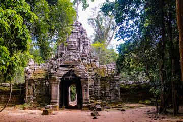 Fototapeta premium Amazing wallpaper of angkor wat with trees in cambodia. Angkor temple in siem reap