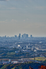 遠景の愛知県名古屋市の風景
