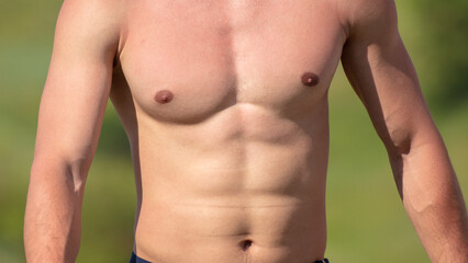 Fototapeta premium Naked chest of a man in nature