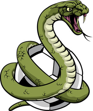 A snake soccer football ball animal sports team mascot