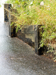 Small wooden retaining wall with plants