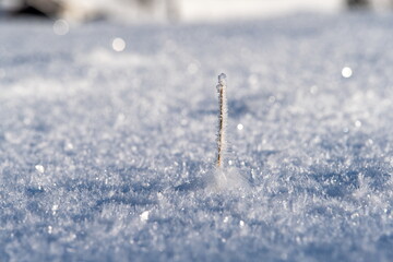 White ice crystals in bright sunlight. Macro photography of ice crystal texture. Snow crystals...