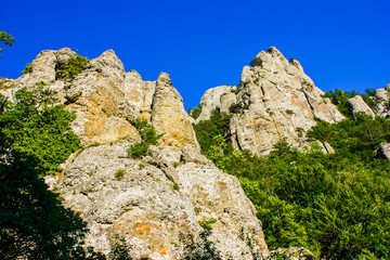 rocks on a mountain with a cliff covered with forest and pine trees, bushes against a bright blue sky in sunny weather in summer in the Crimea in Ukraine in Europe