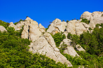 Fototapeta na wymiar rocks on a mountain with a cliff covered with forest and pine trees, bushes against a bright blue sky in sunny weather in summer in the Crimea in Ukraine in Europe