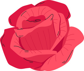 rose flower plant floral decoration clipart