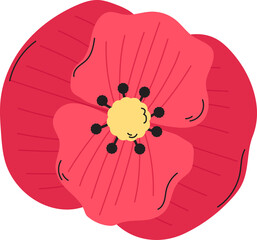 poppy flower plant floral decoration clipart