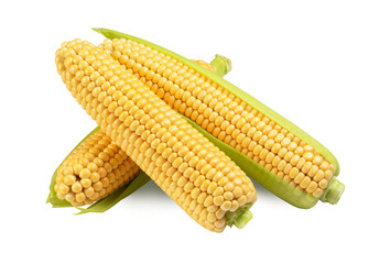 corn isolated on white. the entire image in sharpness.