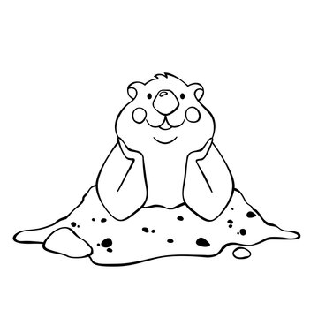 recommend clip art: Cute groundhog animal vector coloring book outline sketch