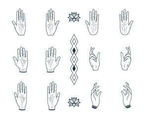 Set of 12 palmistry hands. Hand drawn vector illustration  isolated on white background. 