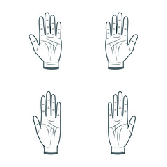 Set of four palmistry hands. Hand drawn vector illustration  isolated on white background.